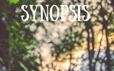 On Writing a Synopsis