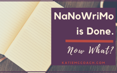 NaNoWriMo is Done. Now What?