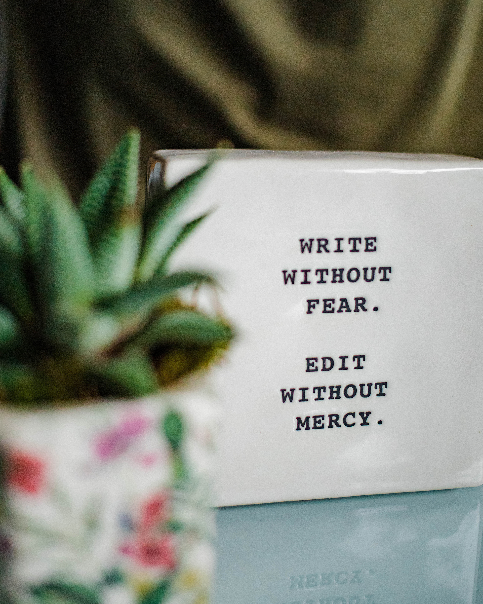 Ceramic sign that says "write without fear. edit without mercy." with a succulent in the foreground.
